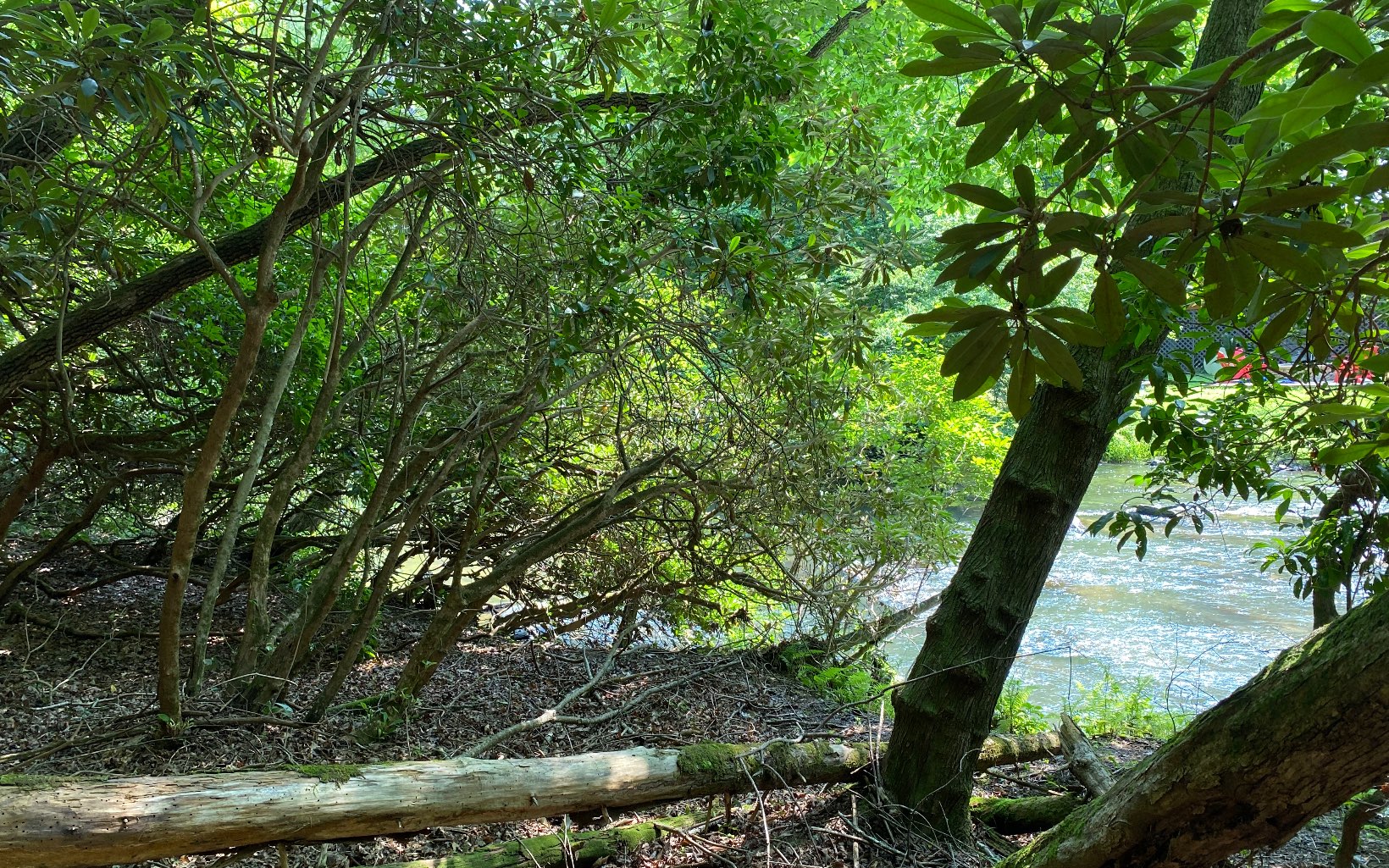 Lot 645 Wedowee Court Ellijay, GA 30540 - Photo 3 of 36 Additional View