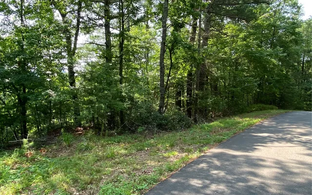 $69,900 | Lot 645 Wedowee Court, Ellijay, GA 30540