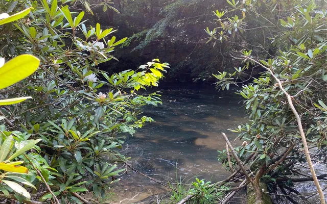 $69,900 | Lot 645 Wedowee Court, Ellijay, GA 30540