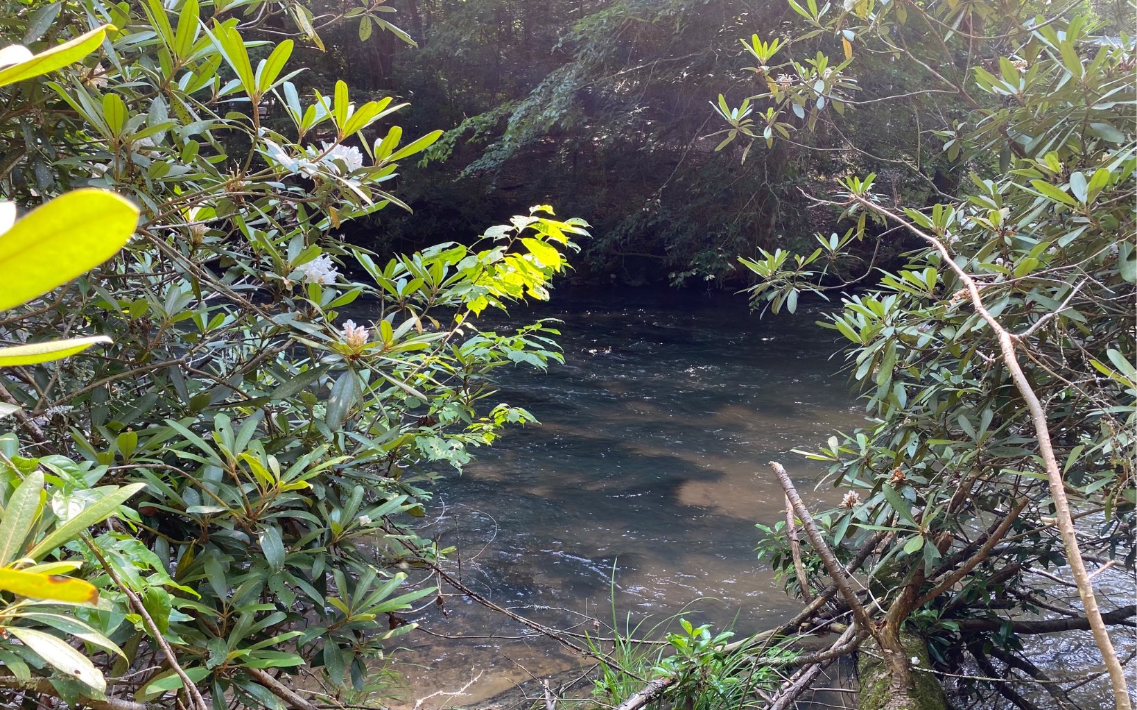 Lot 645 Wedowee Court Ellijay, GA 30540 - Photo 4 of 36 Additional View