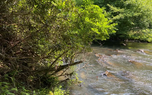 $69,900 | Lot 645 Wedowee Court, Ellijay, GA 30540