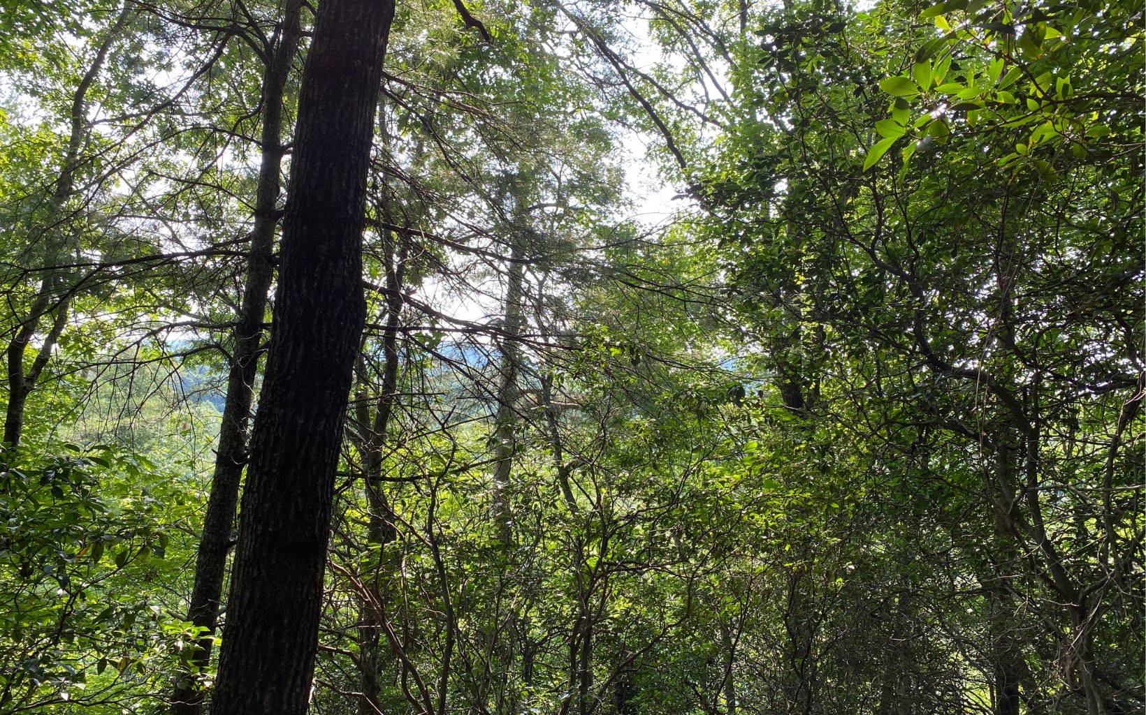 Lot 645 Wedowee Court Ellijay, GA 30540 - Photo 9 of 36 Additional View