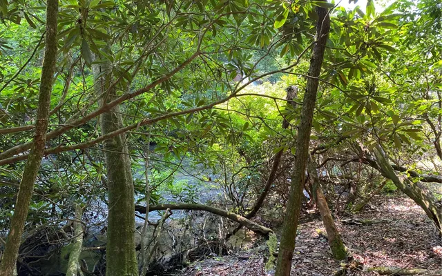 $69,900 | Lot 645 Wedowee Court, Ellijay, GA 30540