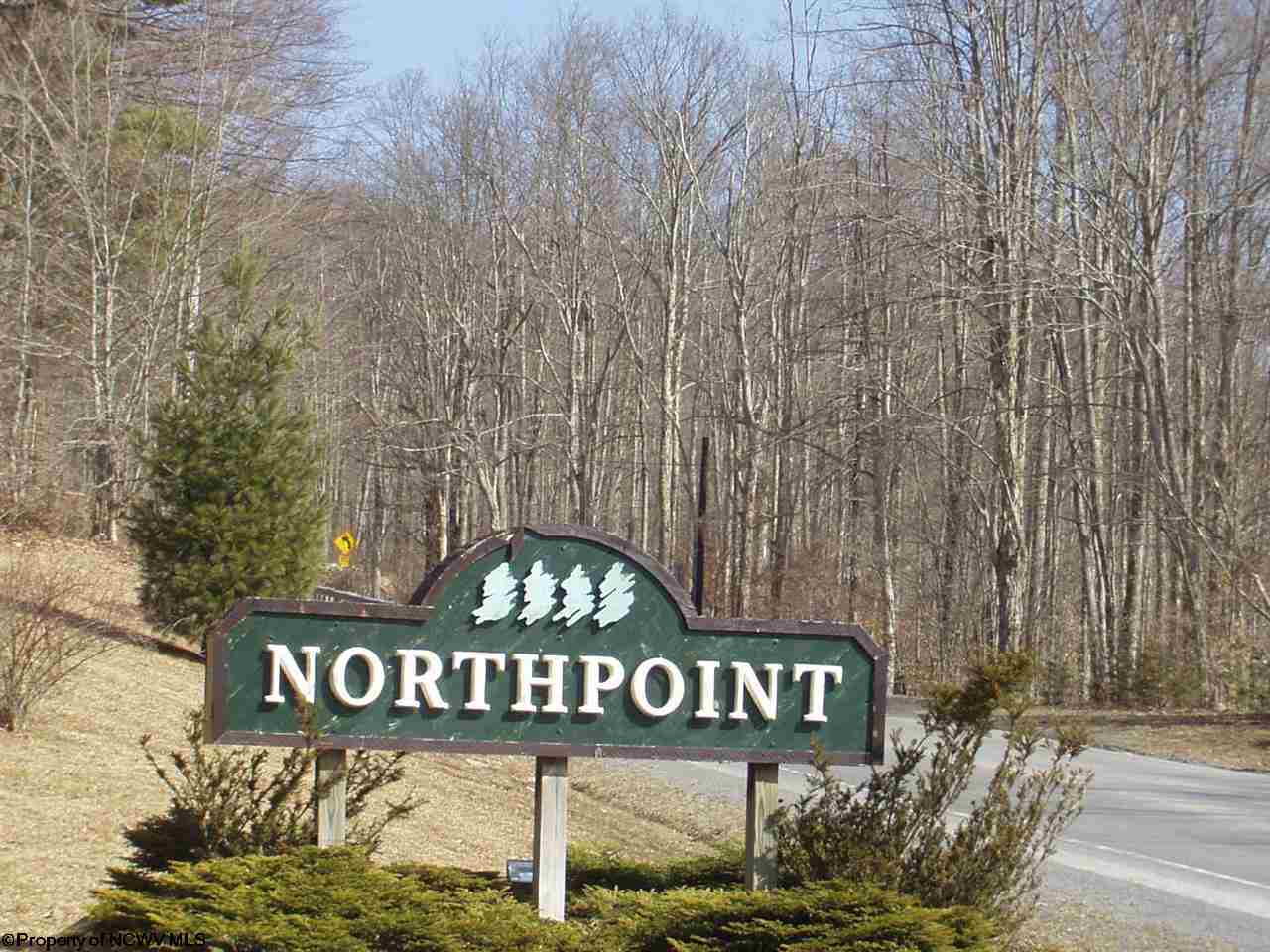 538 Northpoint Way Davis, WV 26260 - Photo 14 of 20 Gallery Image 14
