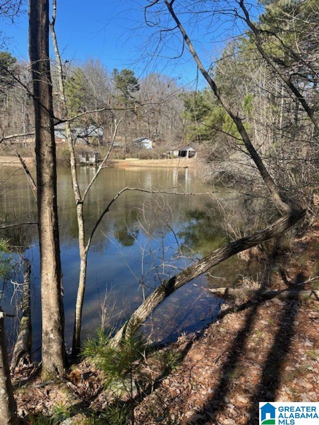 1 Mountain Top Road, Unit 1 Trussville, AL 35173 - Photo 1 of 17