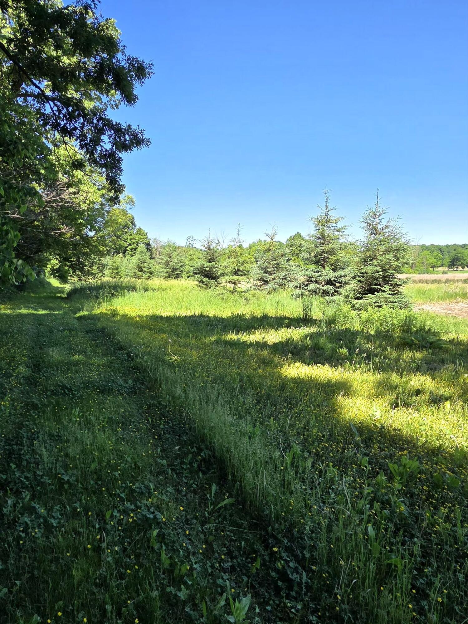 W985 Fur Farm Road New Holstein, WI 53061 - Photo 41 of 57 11999 (1)