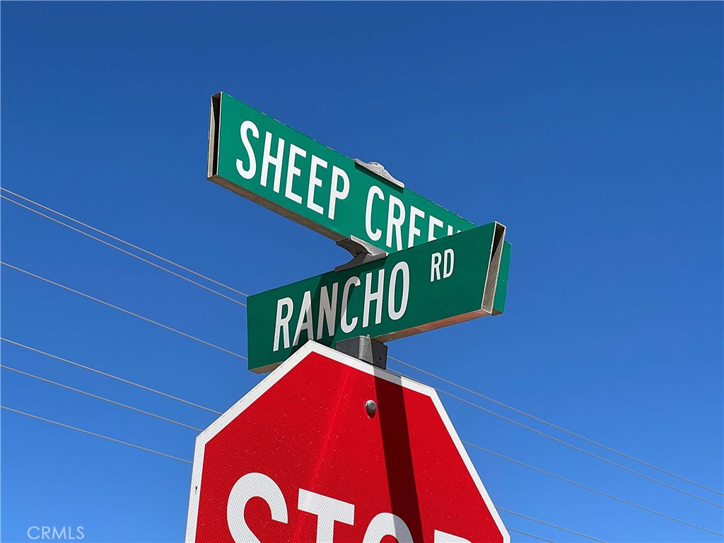 10738 Sheep Creek Road Phelan, CA 92371 - Photo 15 of 20 a view of an outdoor space