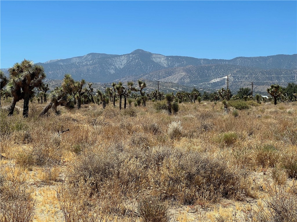 10738 Sheep Creek Road Phelan, CA 92371 - Photo 8 of 20 a view of a dry field with mountains in the background
