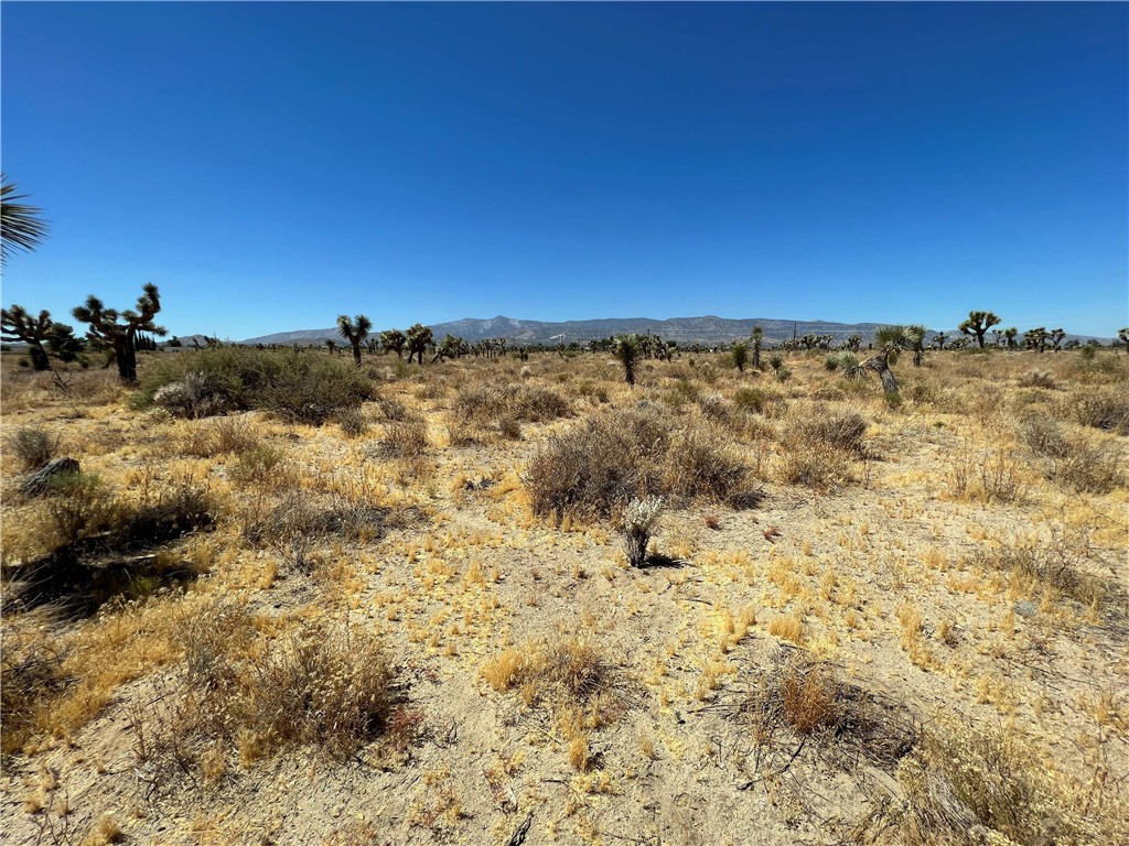 10738 Sheep Creek Road Phelan, CA 92371 - Photo 9 of 20