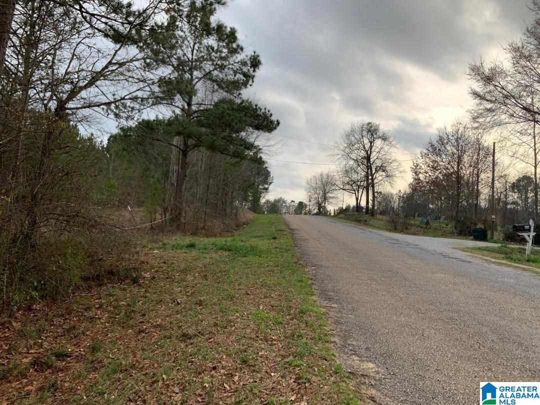 0 County Road 99, Unit 1 Verbena, AL 36091 - Photo 2 of 11