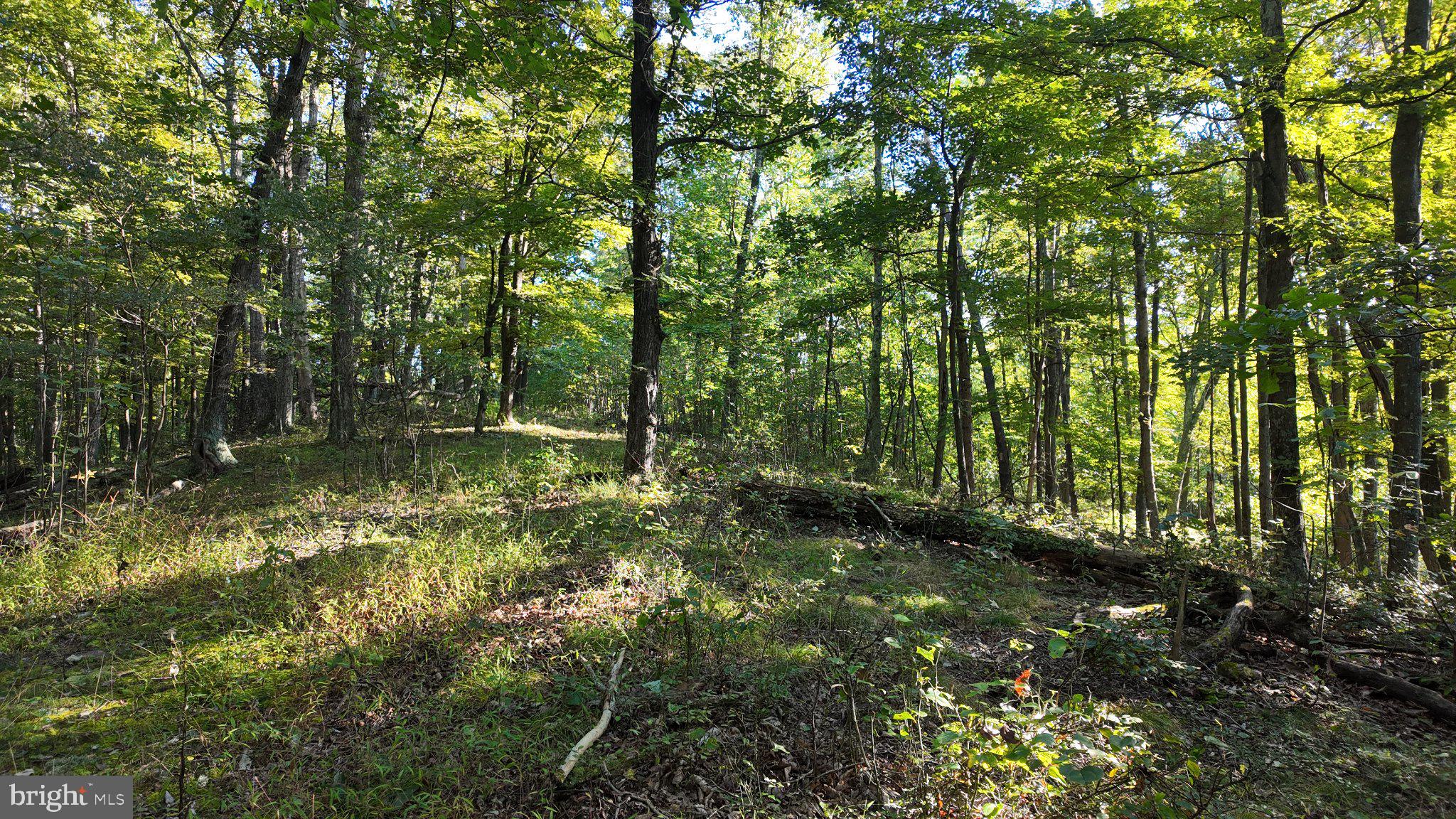 Cold Run Valley Road Berkeley Springs, WV 25411 - Photo 35 of 83 Gallery Image 35