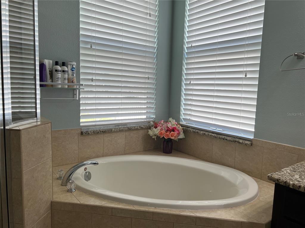 4419 Azure Isle Way Kissimmee, FL 34744 - Photo 21 of 39 a bathroom with a bathtub and next to a window