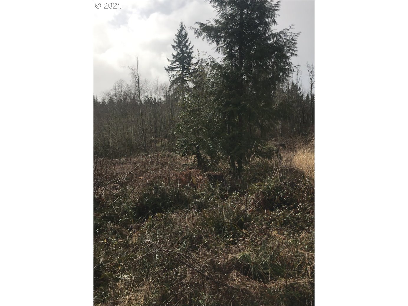Heath Road Rainier, OR 97048 - Photo 1 of 5