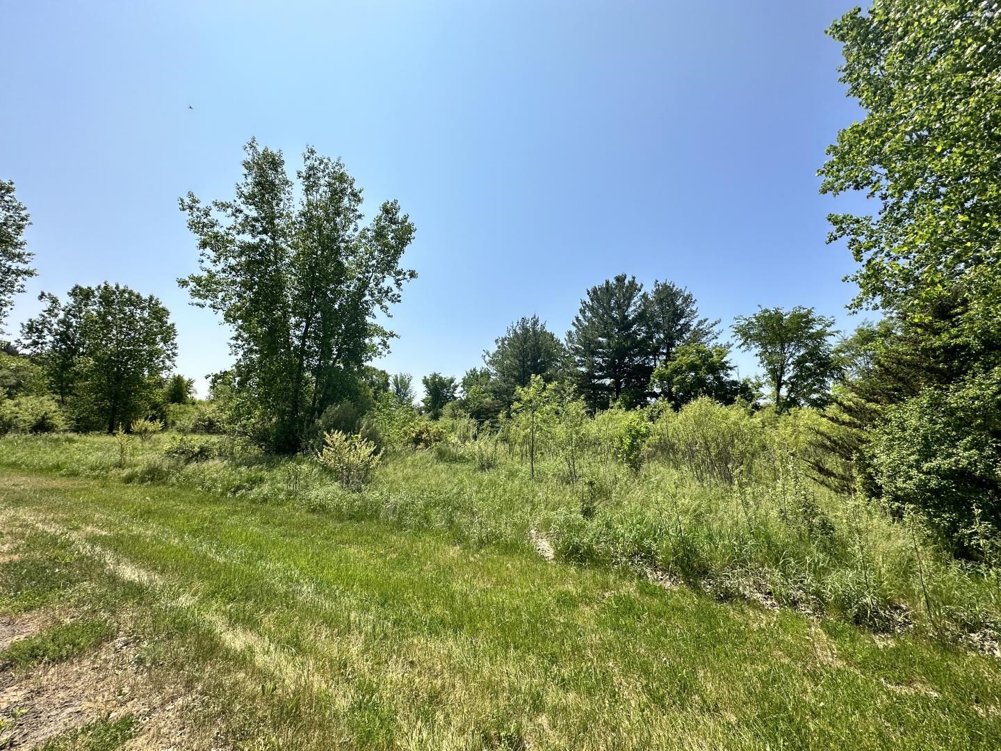 Tbd Tbd Kali, Unit 5 Alma, MI 48801 - Photo 6 of 21