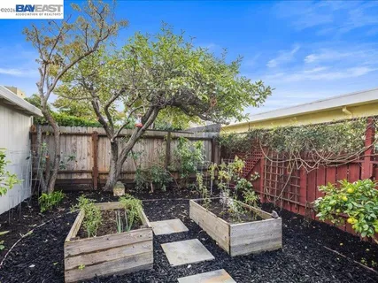 a view of a couches in patio of back yard