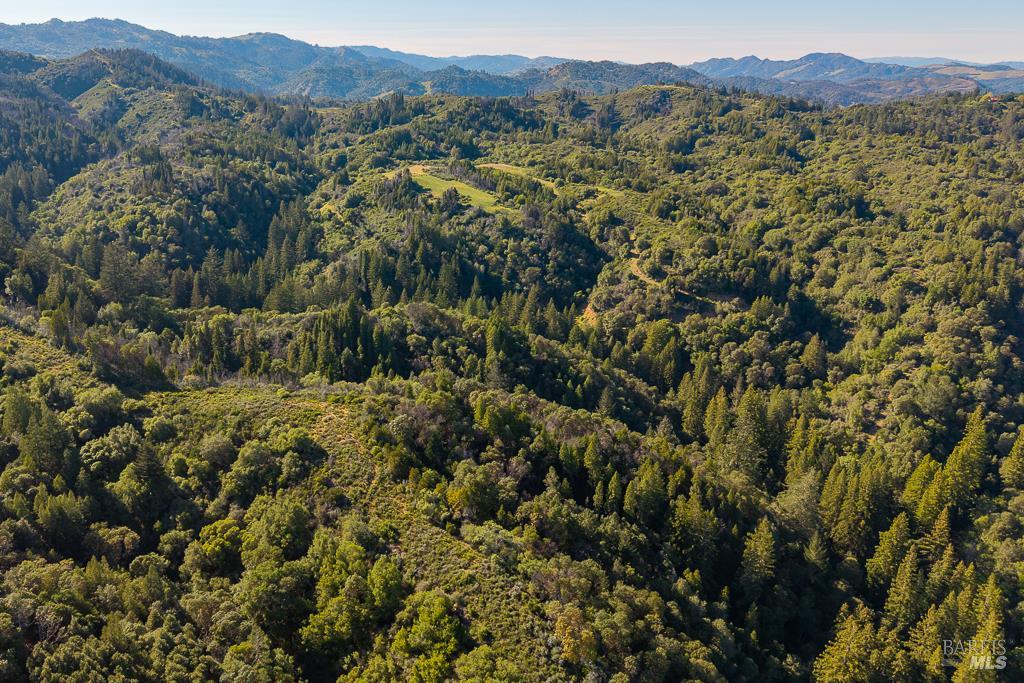 0 West Dry Creek Road Healdsburg, CA 95448 - Photo 11 of 19 a view of a forest with a street
