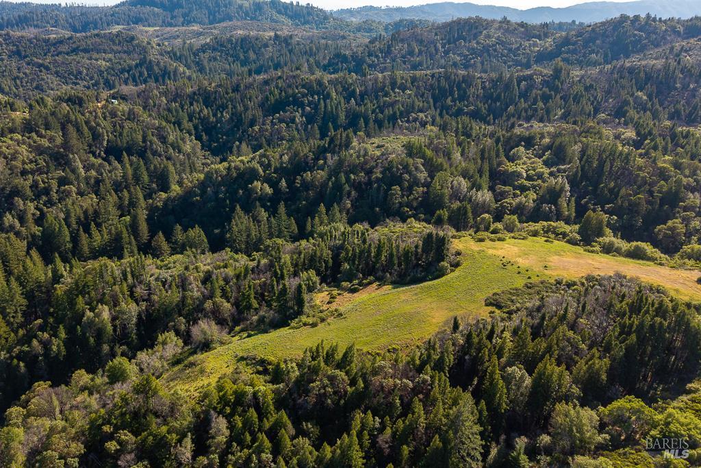 0 West Dry Creek Road Healdsburg, CA 95448 - Photo 15 of 19 a view of a yard with a tree
