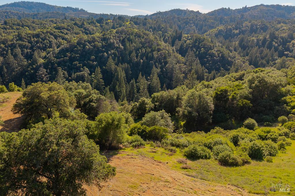 0 West Dry Creek Road Healdsburg, CA 95448 - Photo 19 of 19 a view of a mountain with a yard