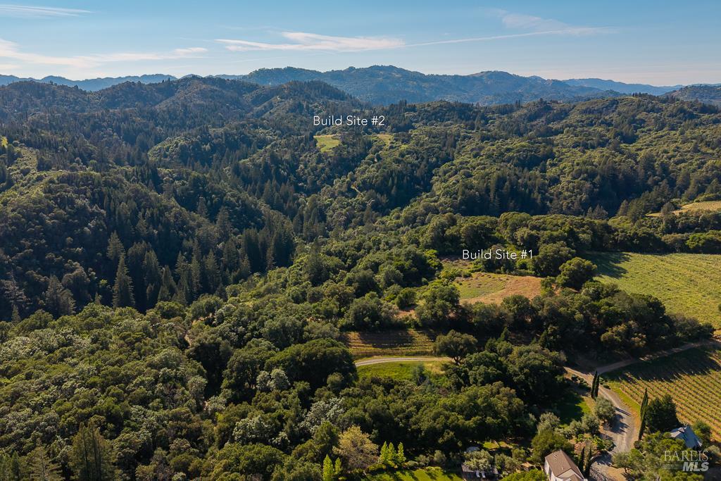 0 West Dry Creek Road Healdsburg, CA 95448 - Photo 2 of 19 a view of a and mountain in the distance