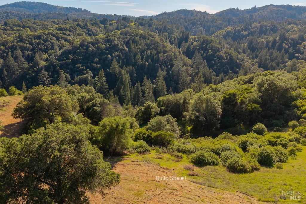 0 West Dry Creek Road Healdsburg, CA 95448 - Photo 5 of 19 a view of a mountain with a yard