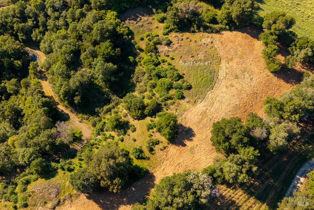 0 West Dry Creek Road Healdsburg, CA 95448 - Photo 6 of 19 a view of a bunch of flowers