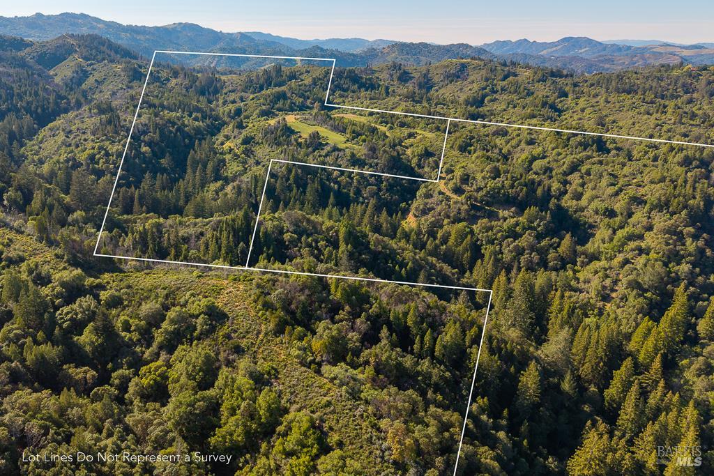 0 West Dry Creek Road Healdsburg, CA 95448 - Photo 9 of 19 a view of a forest with a mountain
