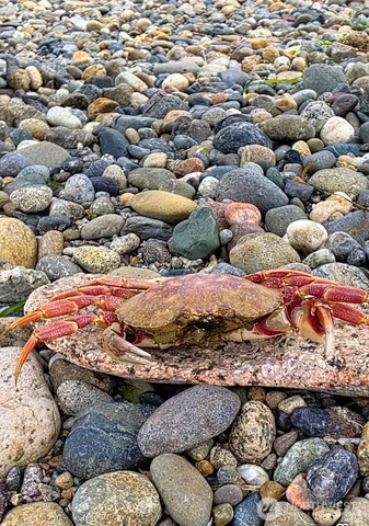 $475,000 | 16017 72nd Street Southwest, Longbranch, WA 98351