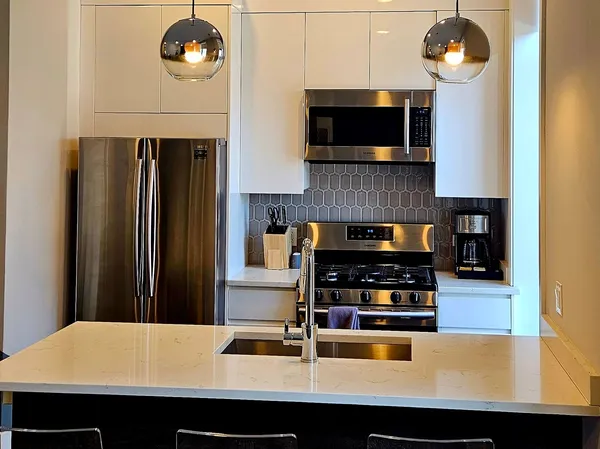 $3,300 | 318 South Halsted Street, Unit 202, Chicago, IL 60607