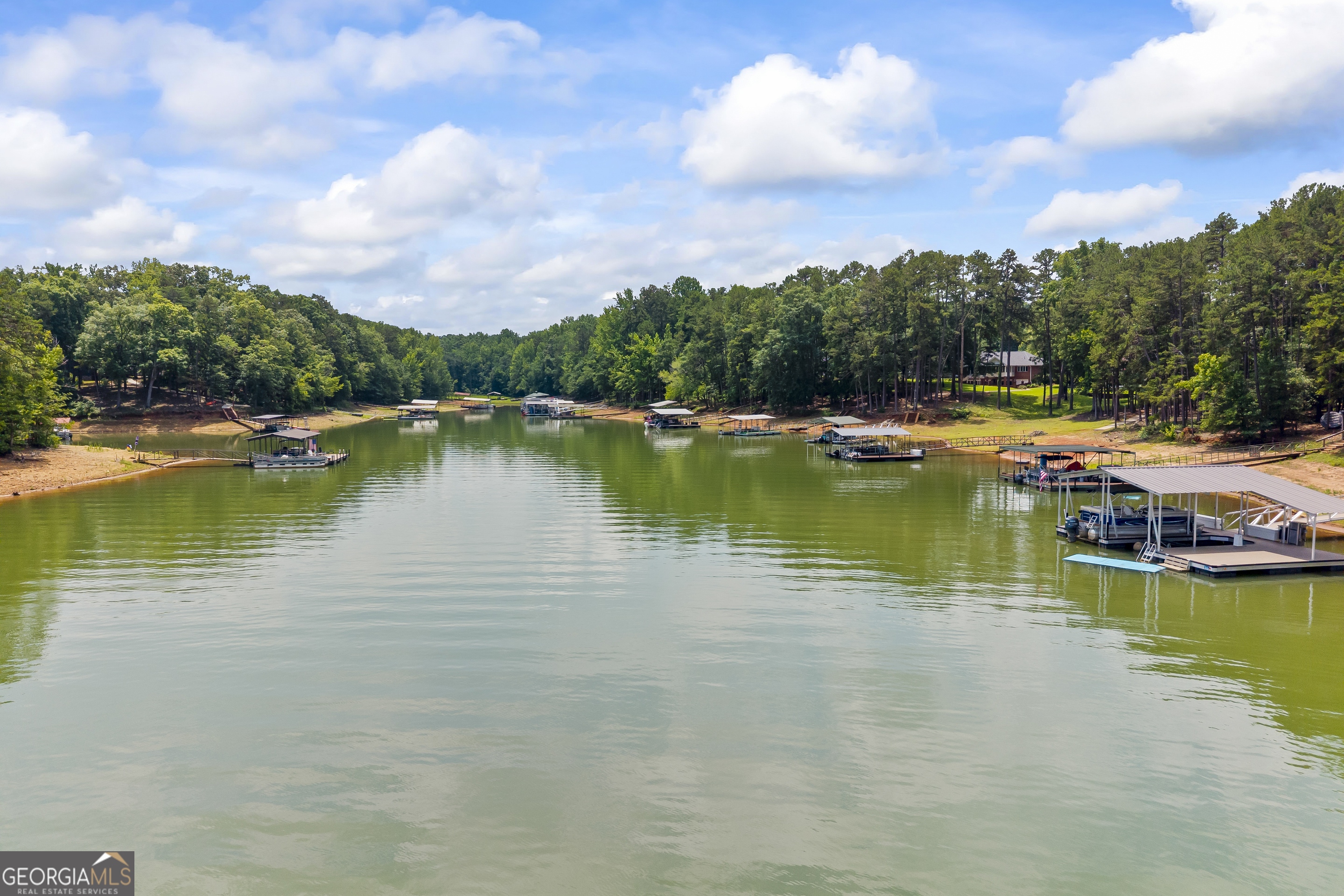 540 Capri Point Lavonia, GA 30553 - Photo 61 of 127