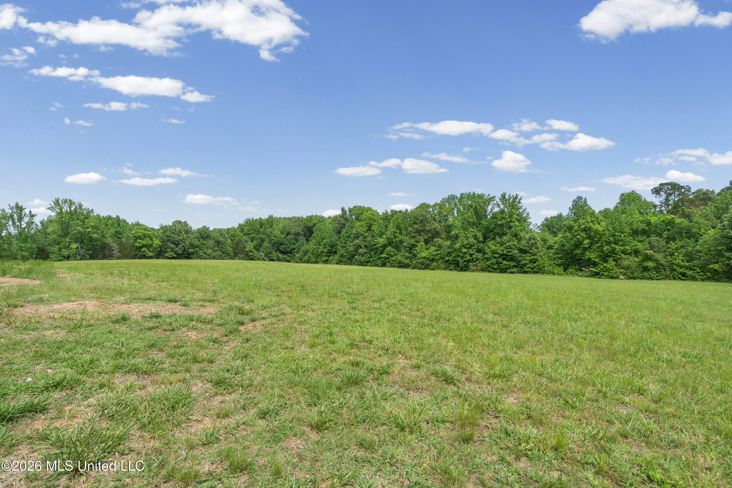 9031 Highway 306 Coldwater, MS 38618 - Photo 36 of 45 36__dsc8238_print