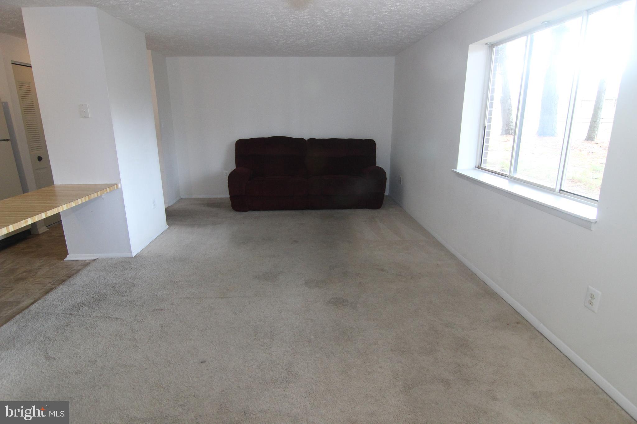 650 Heather Ridge Drive, Unit 12C Frederick, MD 21702 - Photo 17 of 37 Living Room w/Large Window and wall to wall carpet