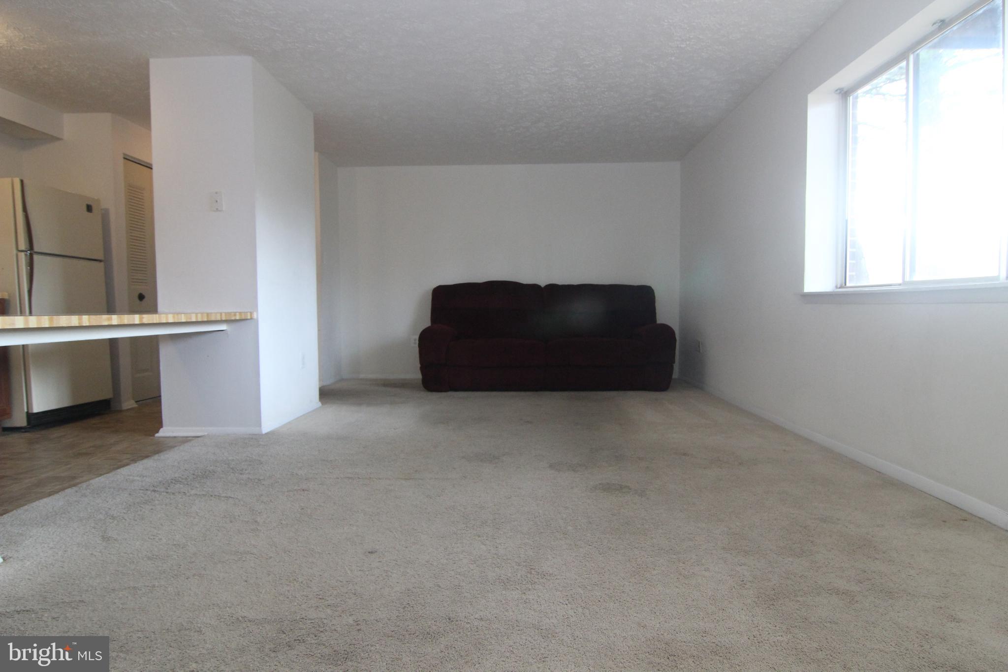 650 Heather Ridge Drive, Unit 12C Frederick, MD 21702 - Photo 18 of 37 Living Room w/Large Window and wall to wall carpet