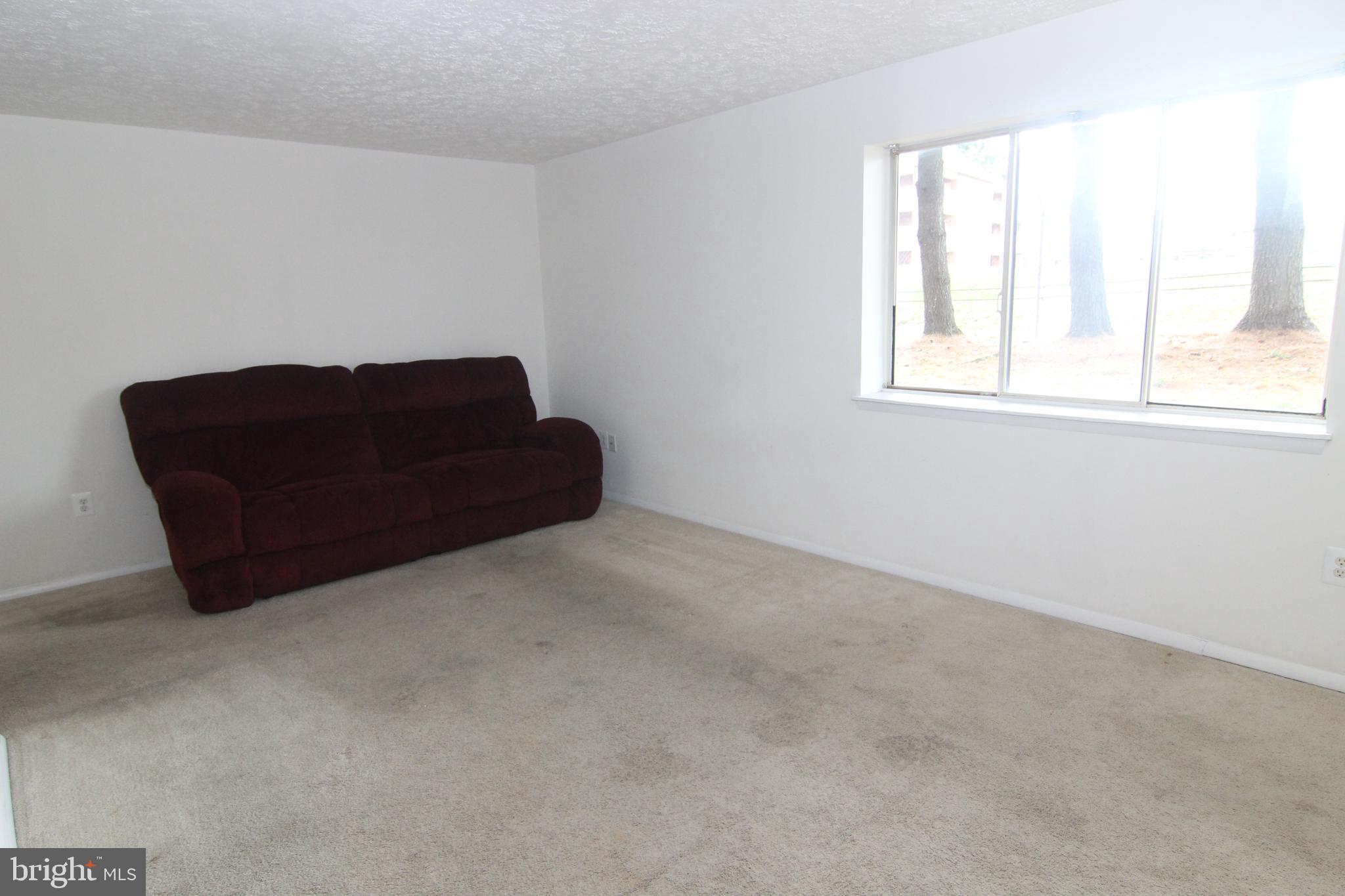 650 Heather Ridge Drive, Unit 12C Frederick, MD 21702 - Photo 19 of 37 Living Room w/Large Window and wall to wall carpet