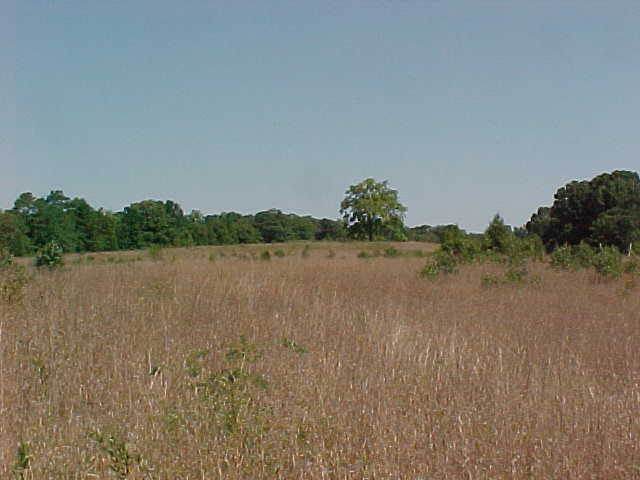 Lot#22 Craft Road Hartwell, GA 30643 - Photo 1 of 1
