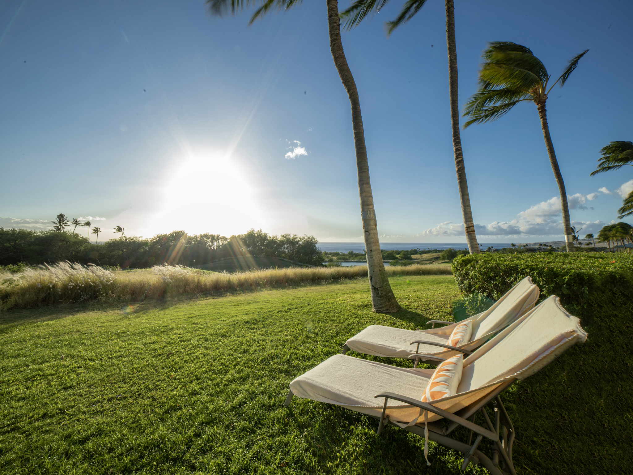 62-3614 Lolii Place, Unit E2 Kamuela, HI 96743 - Photo 16 of 30