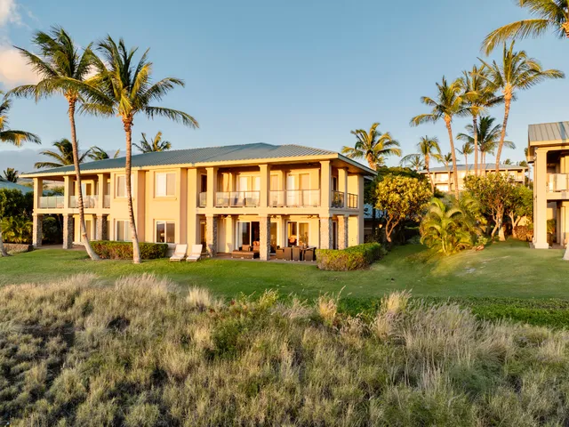 a view of a garden with an outdoor space