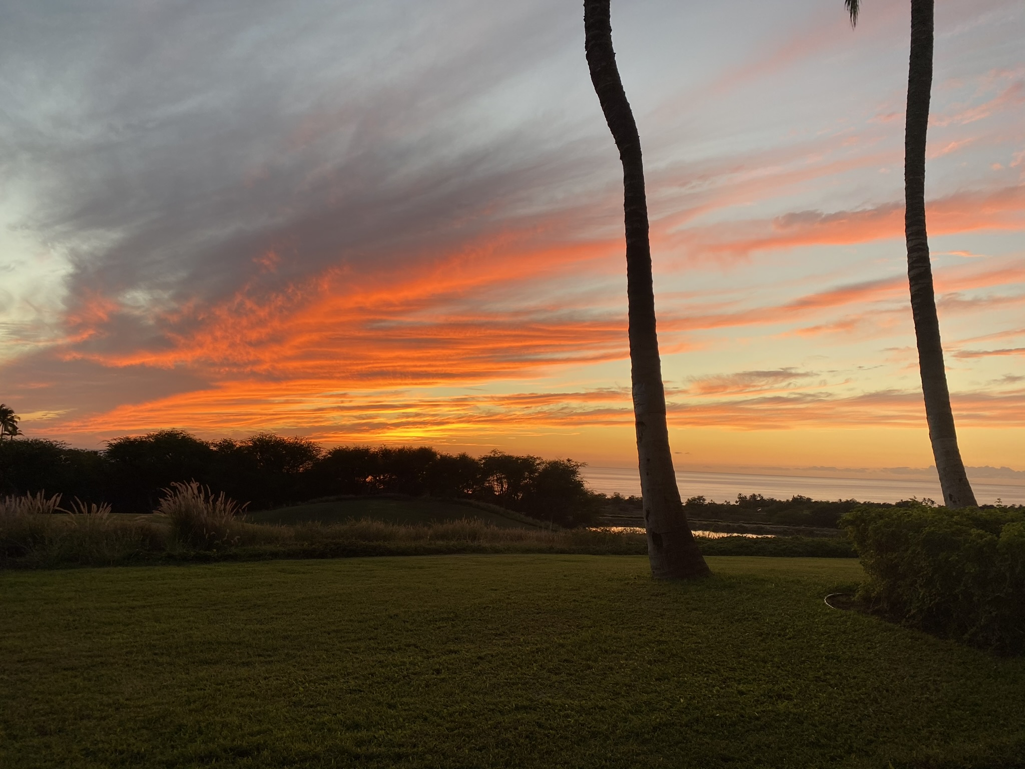 62-3614 Lolii Place, Unit E2 Kamuela, HI 96743 - Photo 25 of 30