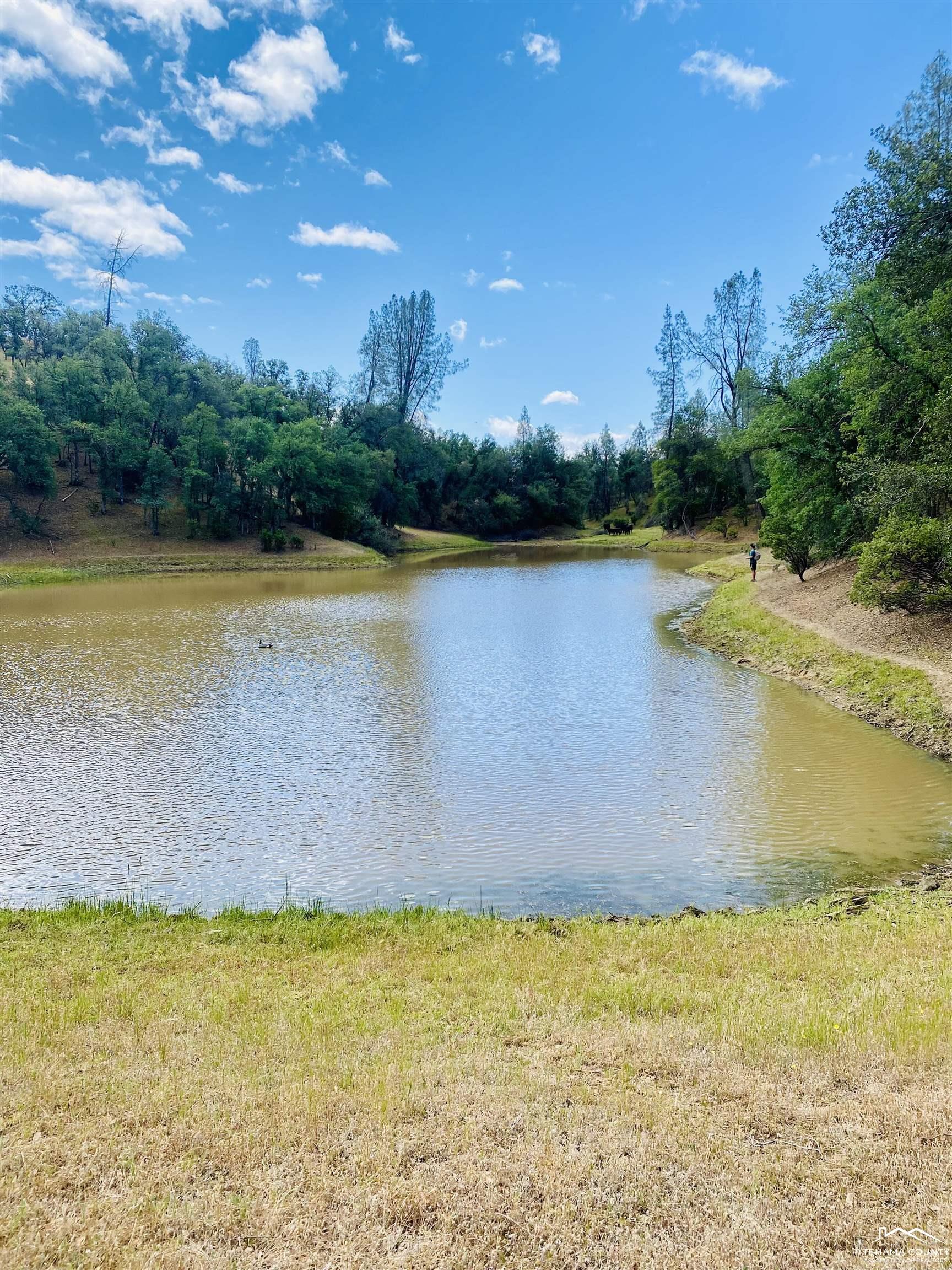 13555 Highway 36 Red Bluff, CA 96080 - Photo 9 of 27