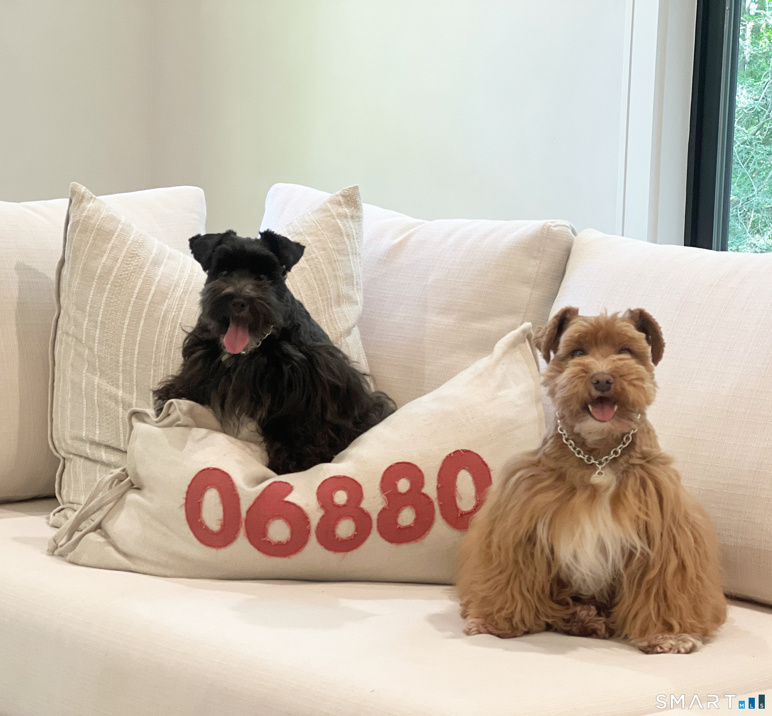 a close view of a table