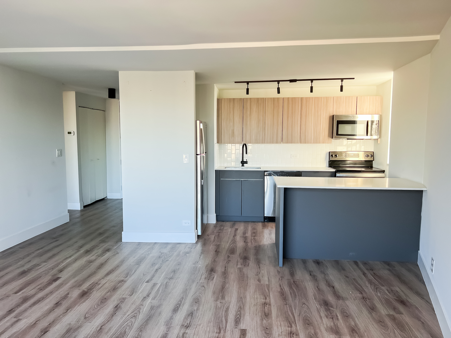 Undisclosed Address Chicago, IL 60611 - Photo 4 of 11 a kitchen with stainless steel appliances granite countertop a sink cabinets and wooden floor