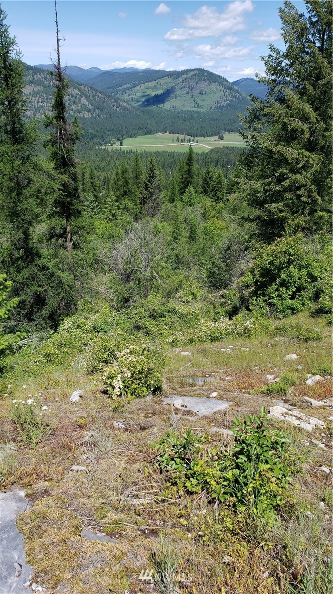3478 Moore Road Kettle Falls, WA 99141 - Photo 11 of 37 Gallery Image 11