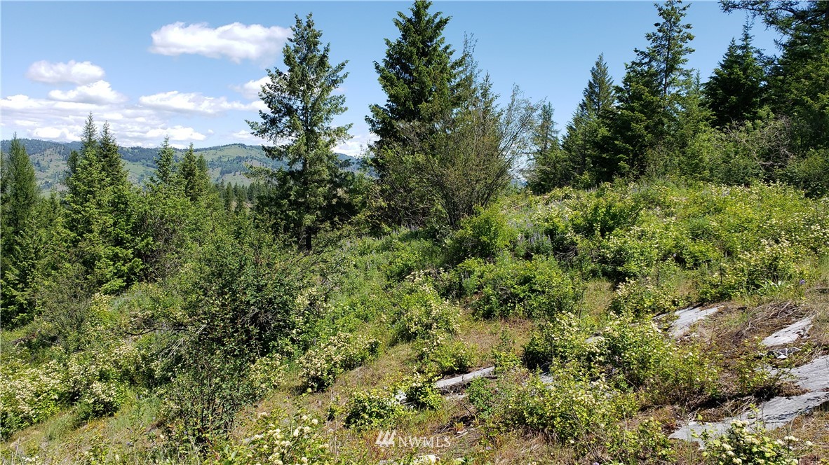 3478 Moore Road Kettle Falls, WA 99141 - Photo 13 of 37 Gallery Image 13