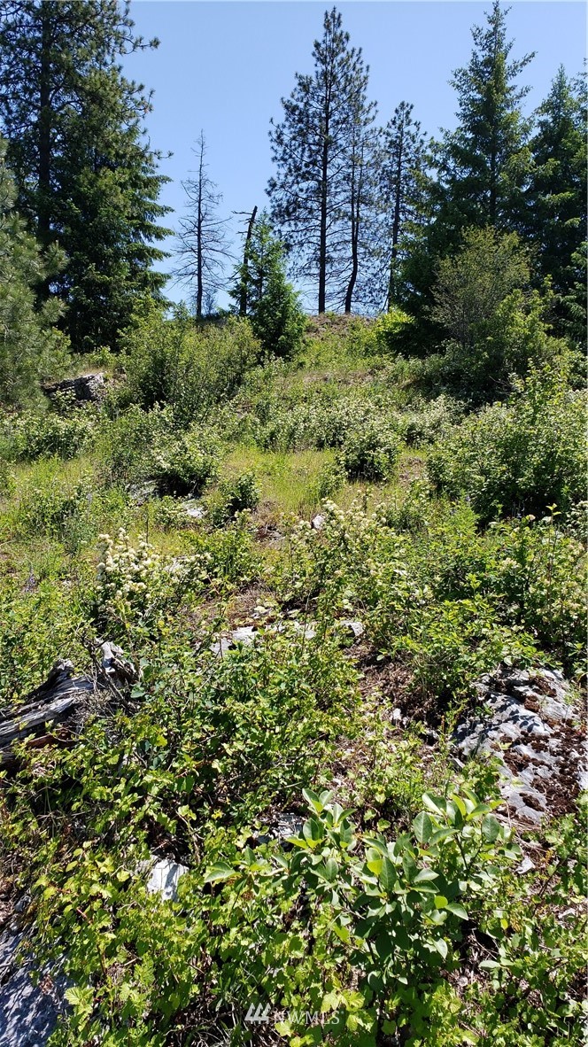 3478 Moore Road Kettle Falls, WA 99141 - Photo 14 of 37 Gallery Image 14