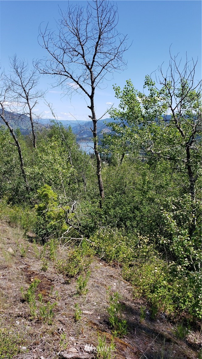 3478 Moore Road Kettle Falls, WA 99141 - Photo 20 of 37 Gallery Image 20