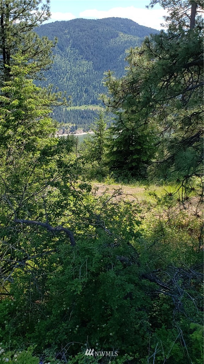 3478 Moore Road Kettle Falls, WA 99141 - Photo 21 of 37 Gallery Image 21