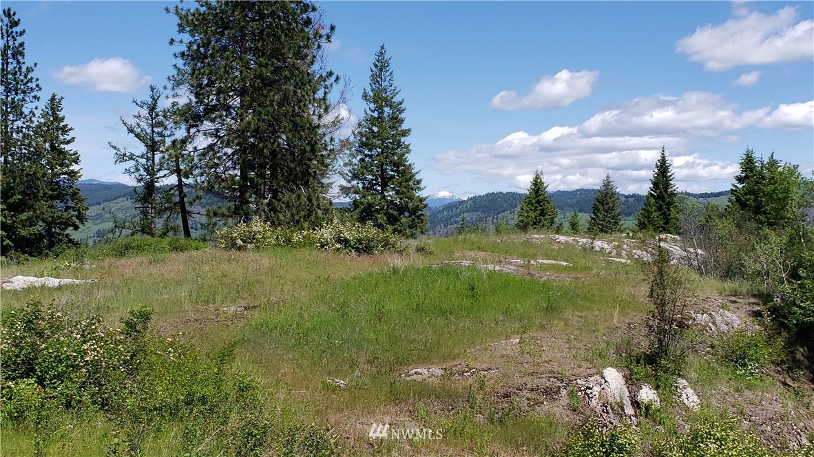 3478 Moore Road Kettle Falls, WA 99141 - Photo 22 of 37 Gallery Image 22