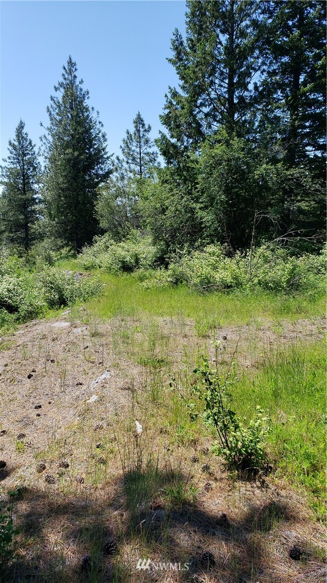 3478 Moore Road Kettle Falls, WA 99141 - Photo 23 of 37 Gallery Image 23