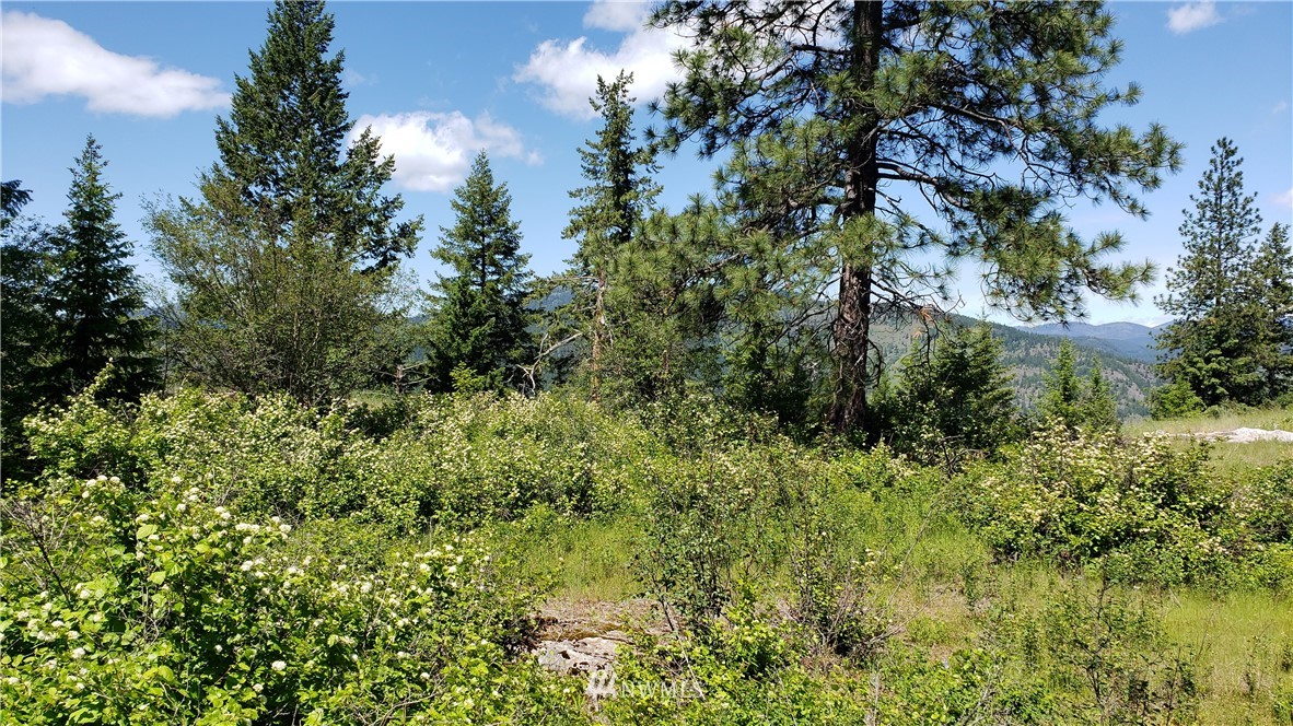 3478 Moore Road Kettle Falls, WA 99141 - Photo 24 of 37 Gallery Image 24
