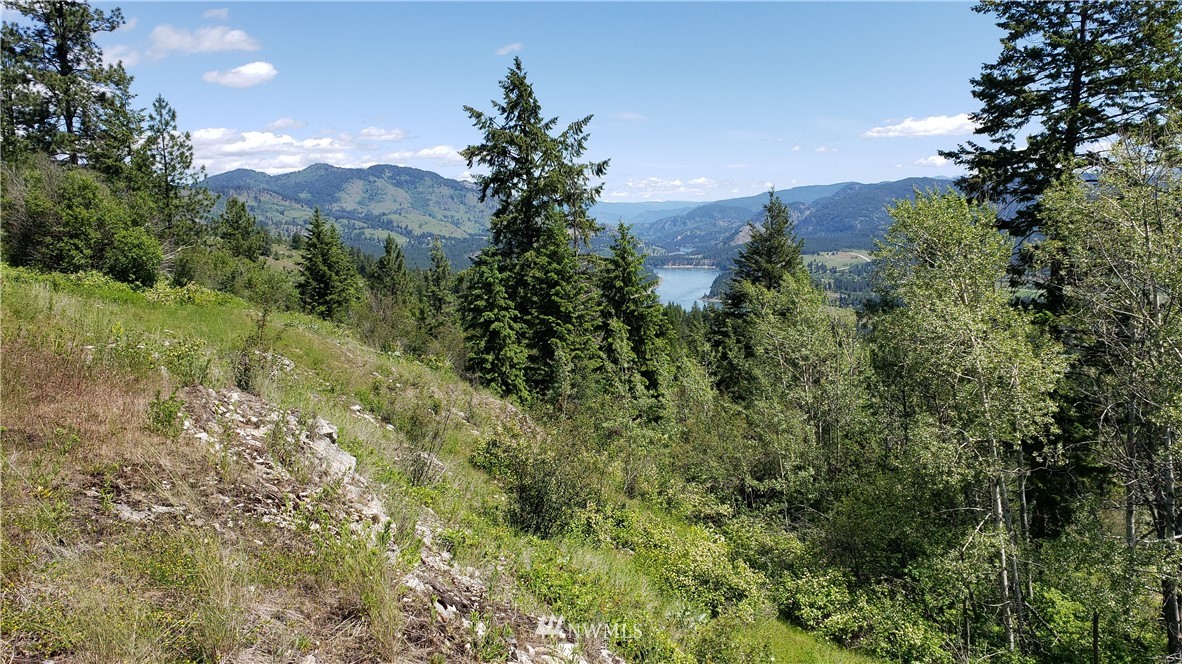 3478 Moore Road Kettle Falls, WA 99141 - Photo 27 of 37 Gallery Image 27