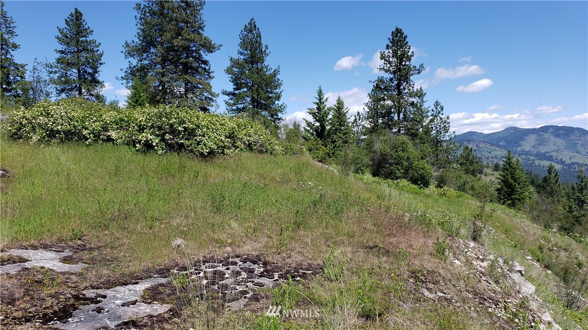 3478 Moore Road Kettle Falls, WA 99141 - Photo 28 of 37 Gallery Image 28